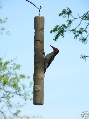 Large Suet Log Bird Feeder for Suet Plugs, Woodpeckers  